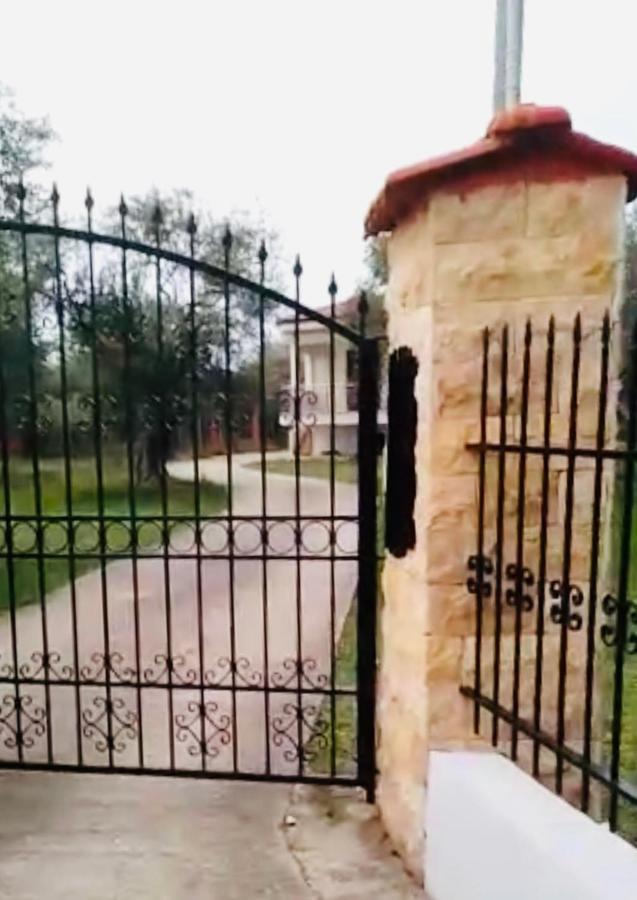 Villa Calypso Skala Rachoni  外观 照片