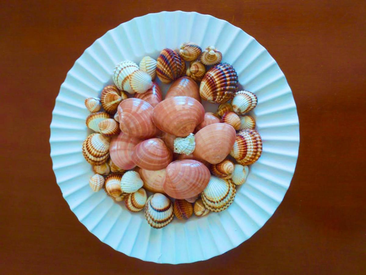 Villa Calypso Skala Rachoni  外观 照片