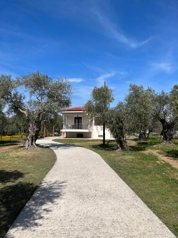 Villa Calypso Skala Rachoni  外观 照片
