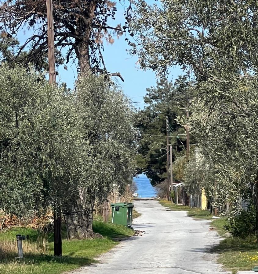 Villa Calypso Skala Rachoni  外观 照片